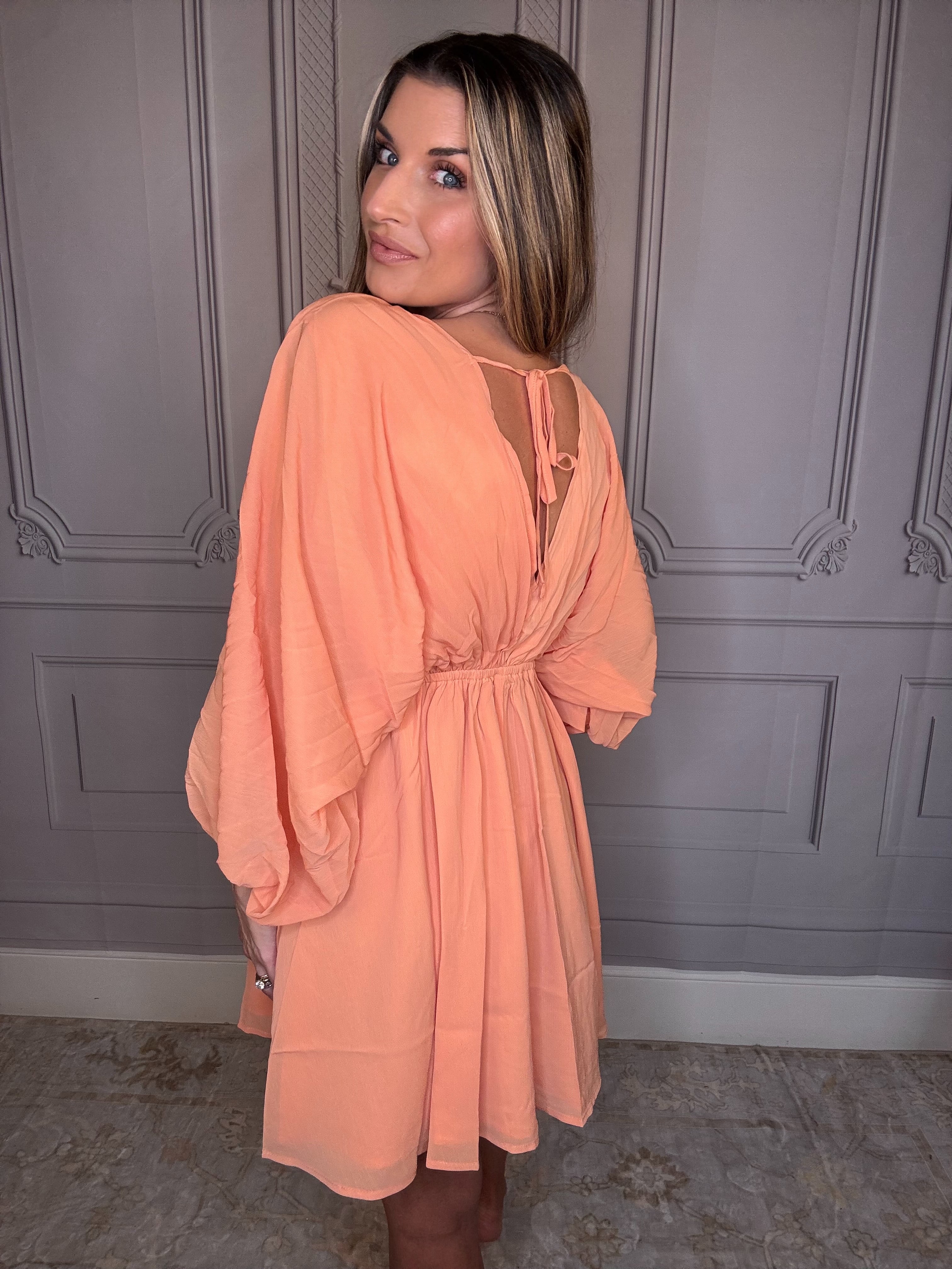 Betsy Bishop Sleeve Dress