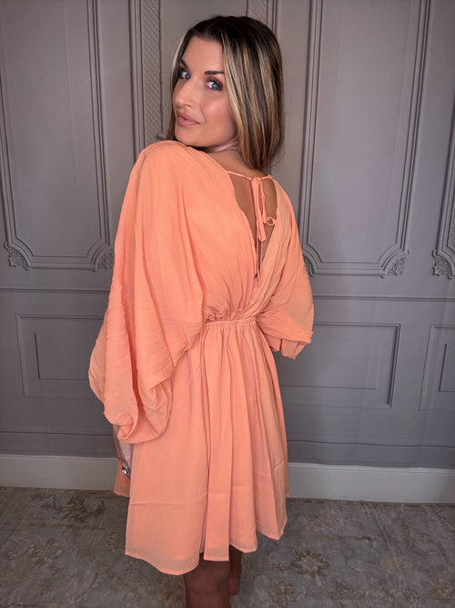 Betsy Bishop Sleeve Dress