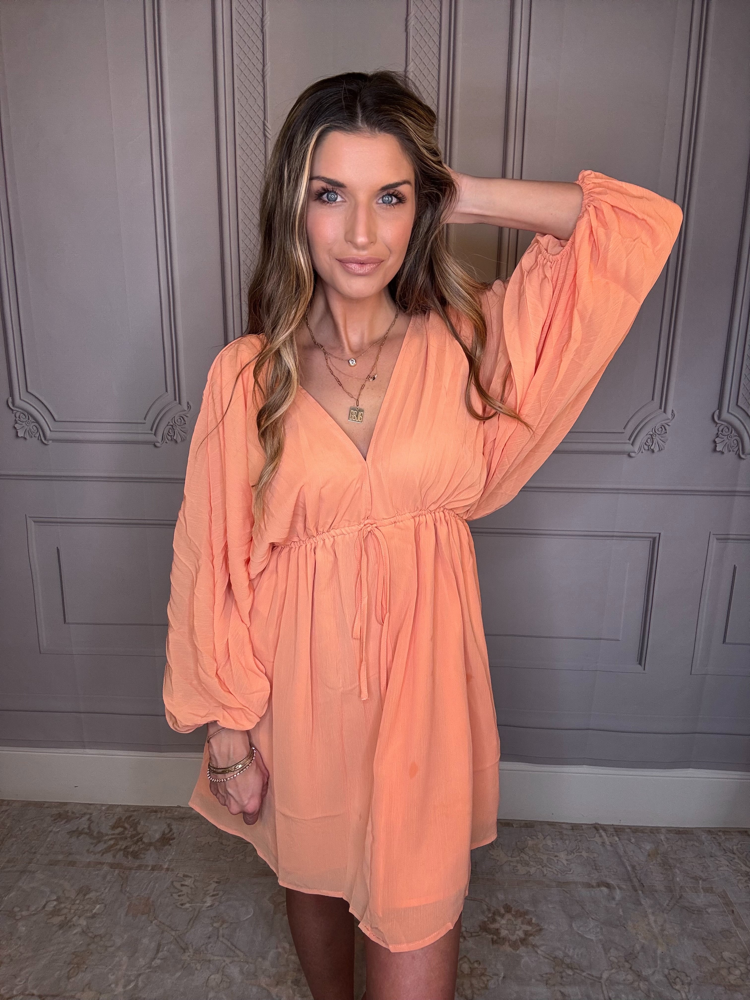 Betsy Bishop Sleeve Dress